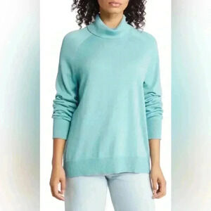 Caslon New Cozy Turtleneck Sweater